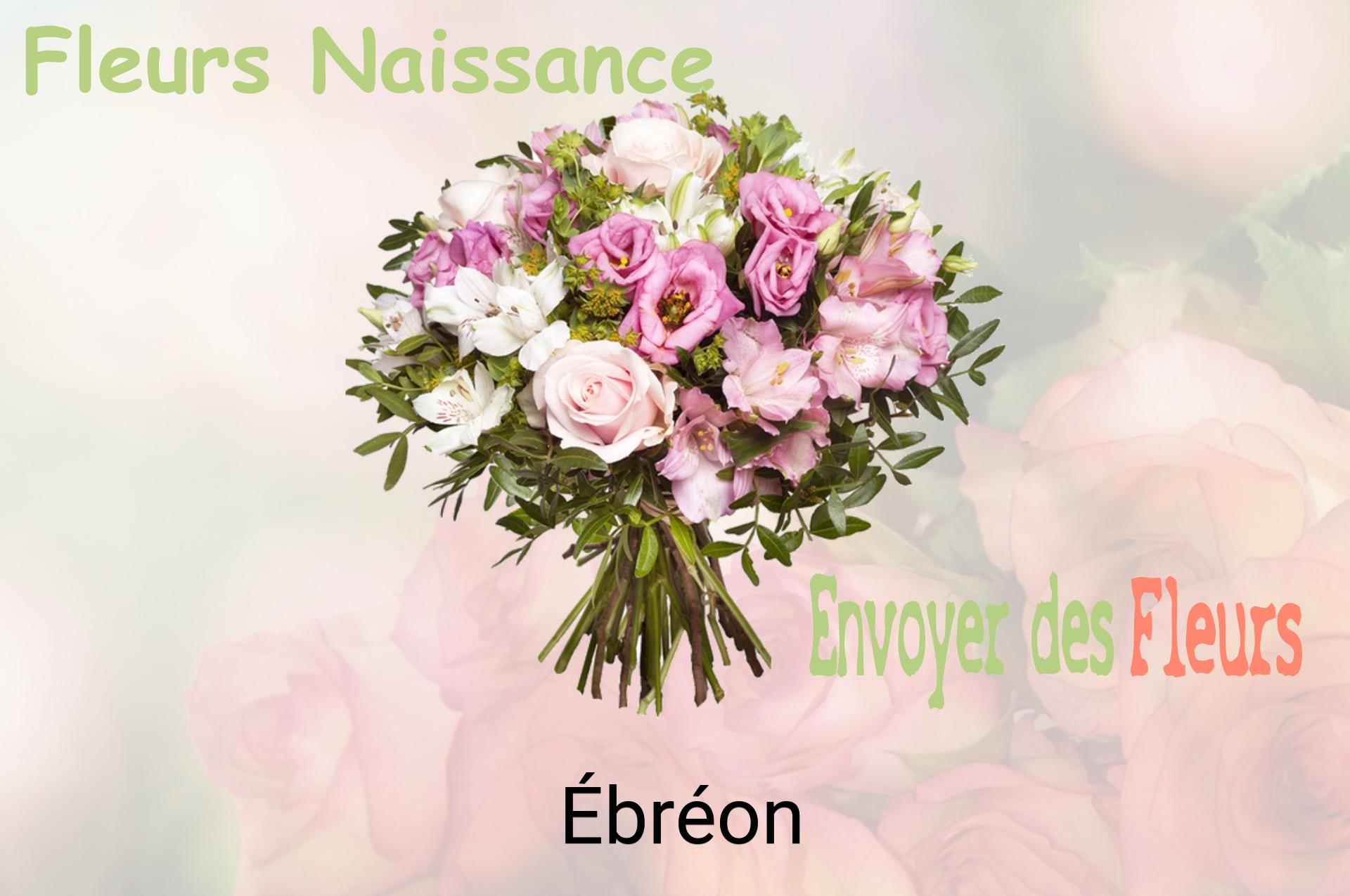 Bouquet de fleurs de naissance livré à Ébréon